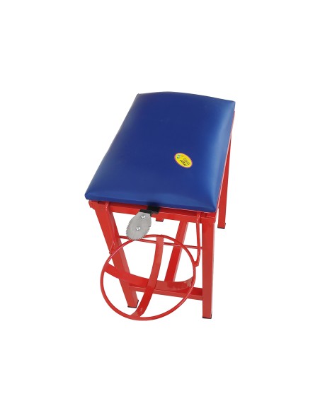 Coconut Scraper Cum Stool 2 in 1(Red)