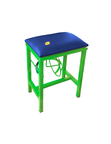 Coconut Scraper Cum Stool 2 in 1  (GREEN)