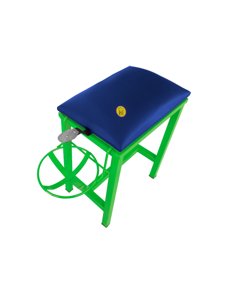Coconut Scraper Cum Stool 2 in 1  (GREEN)