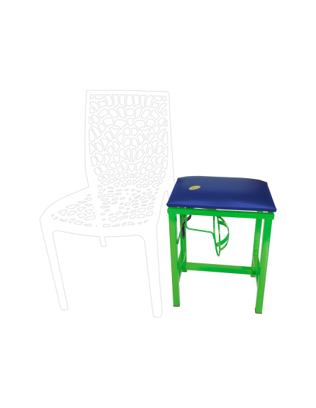 Coconut Scraper Cum Stool 2 in 1  (GREEN)
