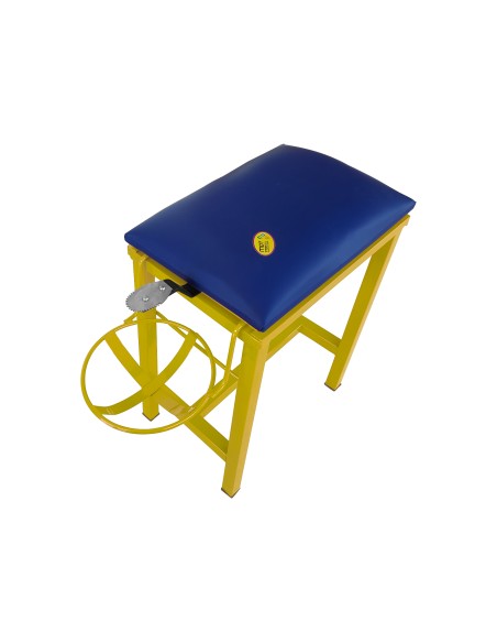 Coconut Scraper Cum Stool 2 in 1(Yellow)