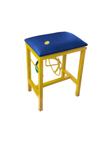 Coconut Scraper Cum Stool 2 in 1(Yellow)