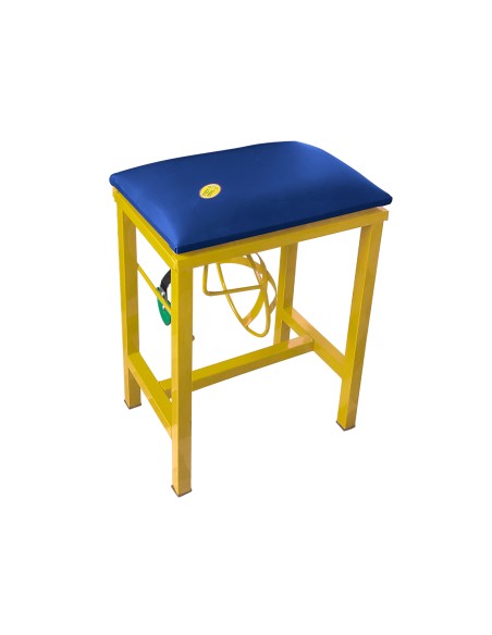 Coconut Scraper Cum Stool 2 in 1(Yellow)