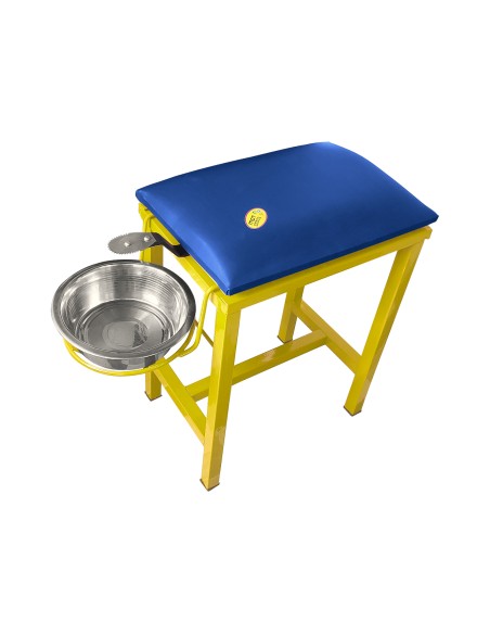 Coconut Scraper Cum Stool 2 in 1(Yellow)