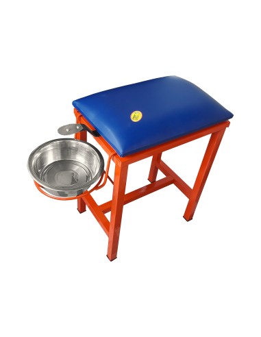 Coconut Scraper Cum Stool 2 in 1...