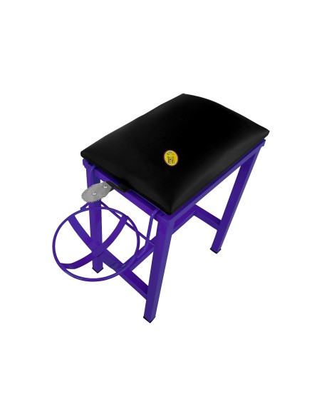 Coconut Scraper Cum Stool 2 in 1  (Purple)