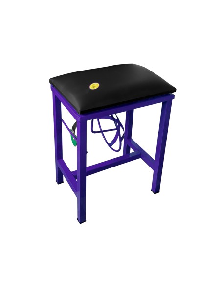 Coconut Scraper Cum Stool 2 in 1  (Purple)