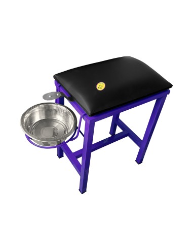 Coconut Scraper Cum Stool 2 in 1...