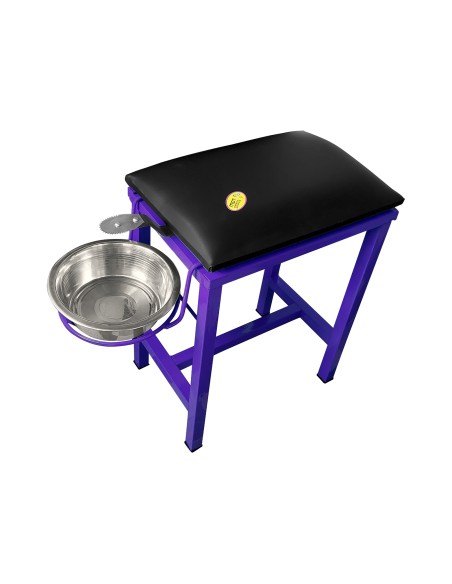 Coconut Scraper Cum Stool 2 in 1  (Purple)