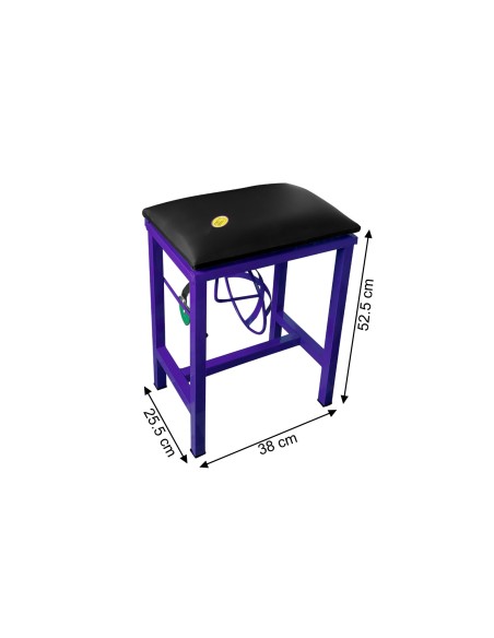 Coconut Scraper Cum Stool 2 in 1  (Purple)