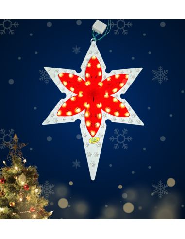 Star LILLY - Red White