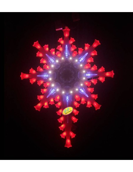 Christmas Star COSMOS-BELL