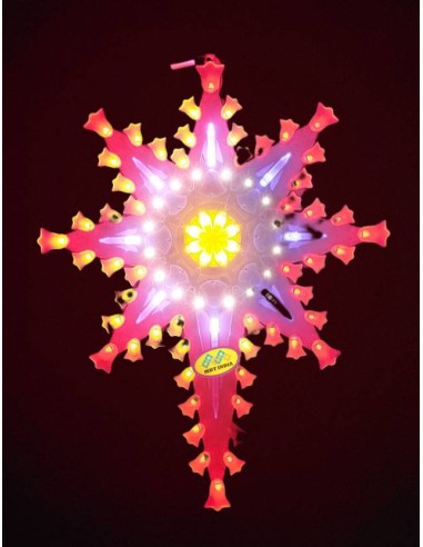 Christmas Star COSMOS-BELL