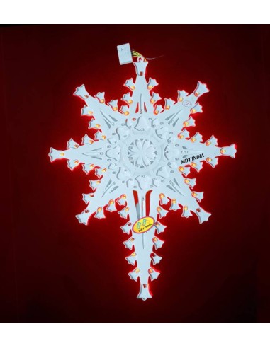 Christmas Star COSMOS-BELL