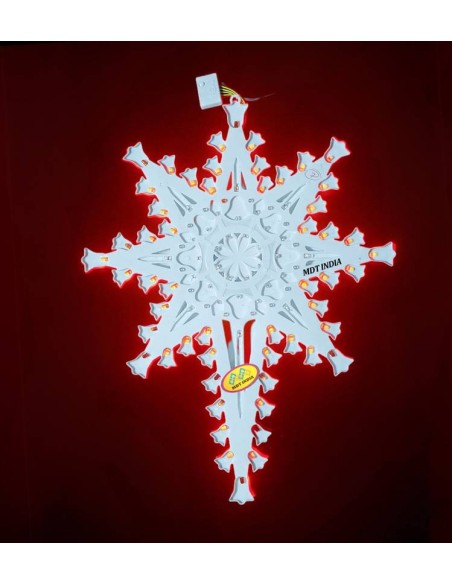 Christmas Star COSMOS-BELL