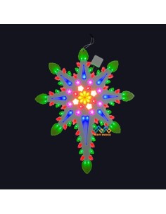 Christmas Star FLORA...