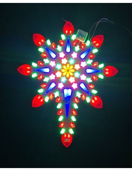 Christmas Star FLORA (Multicolor)