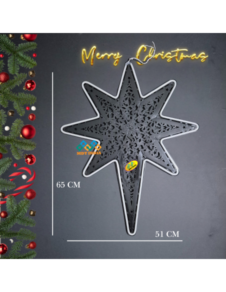 Christmas LED Star NEON Tesla