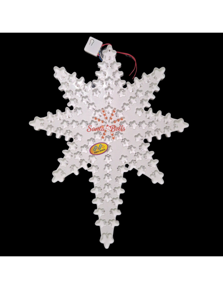 SANTABELLS Xmas Star Cactus 8C Multicolor