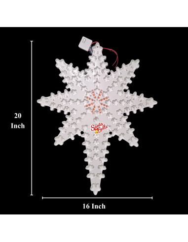 SANTABELLS Xmas Star Cactus 8C...