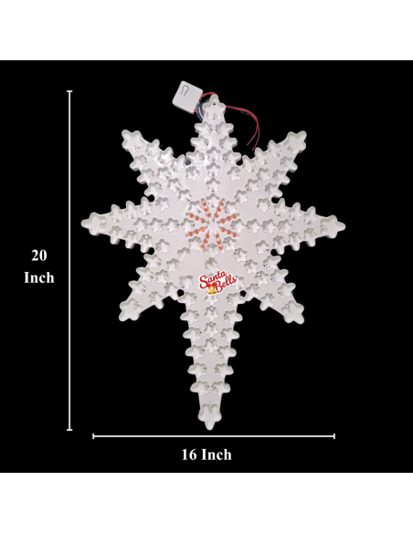 SANTABELLS Xmas Star Cactus 8C Multicolor