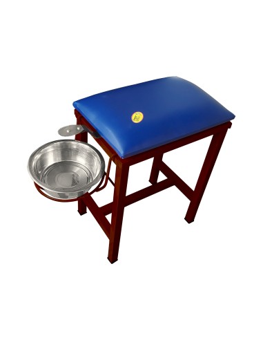 Coconut Scraper Cum Stool 2 in 1...