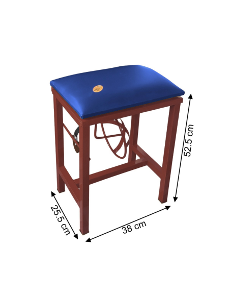 Coconut Scraper Cum Stool 2 in 1  (Brown)