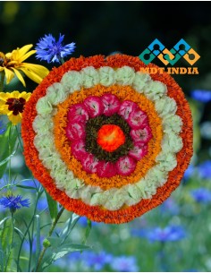 Onam Ready to use Pookkalam...
