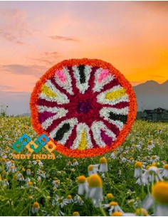 OnamReady to use Pookkalam...