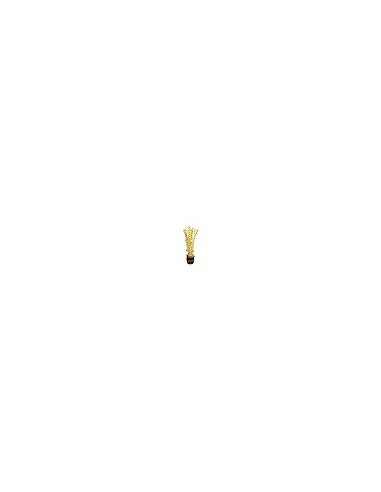 Nira para Miniature Model with Coconut Flower  (25 Inch)