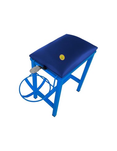 MDT India Coconut Scraper Cum Stool 2 in 1 Foldable Blade and Plate Holder Chirava (Blue, Cushion Stool Iron)