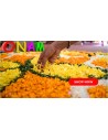 Onam